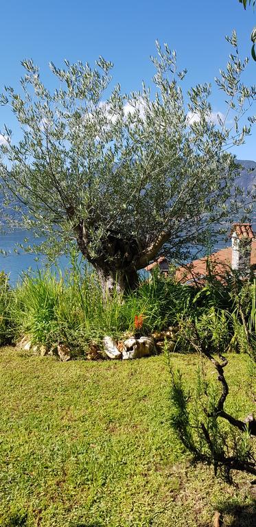 B&B Renalù Verbania Extérieur photo